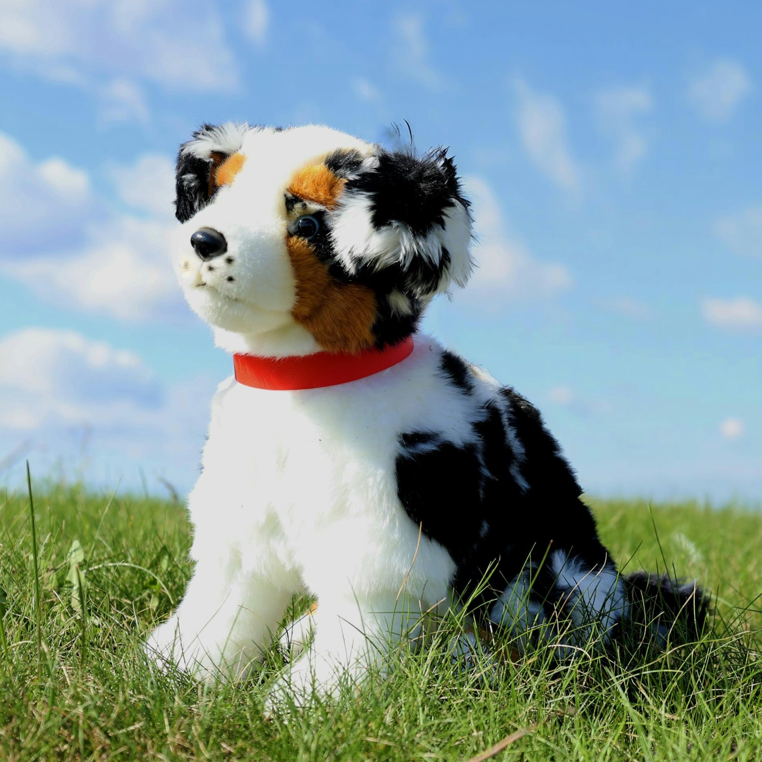 Piesek Owczarek Australijski Siedzący Realistyczny - 35cm