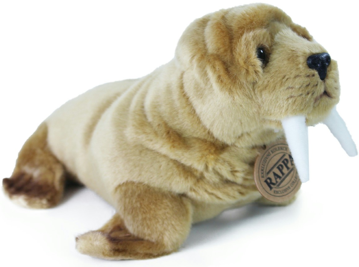 Foka Brązowa Wilk Morski - 23cm