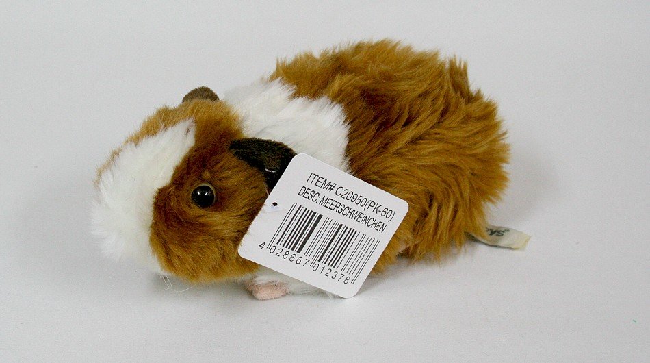 Świnka Morska Brązowa - 20cm