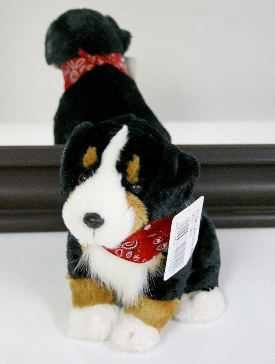 Pies Łatek z chustą - 24cm