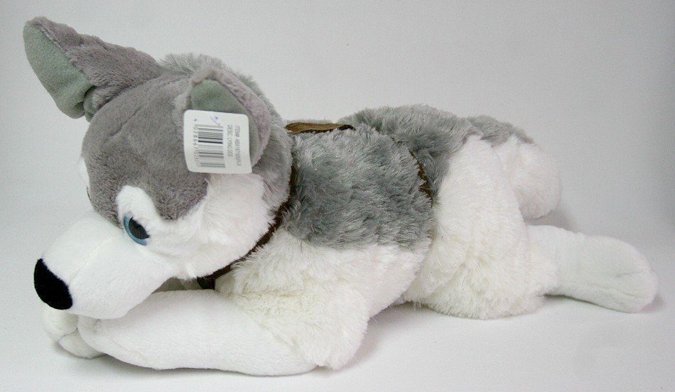 Pies Husky Leżący - 60cm