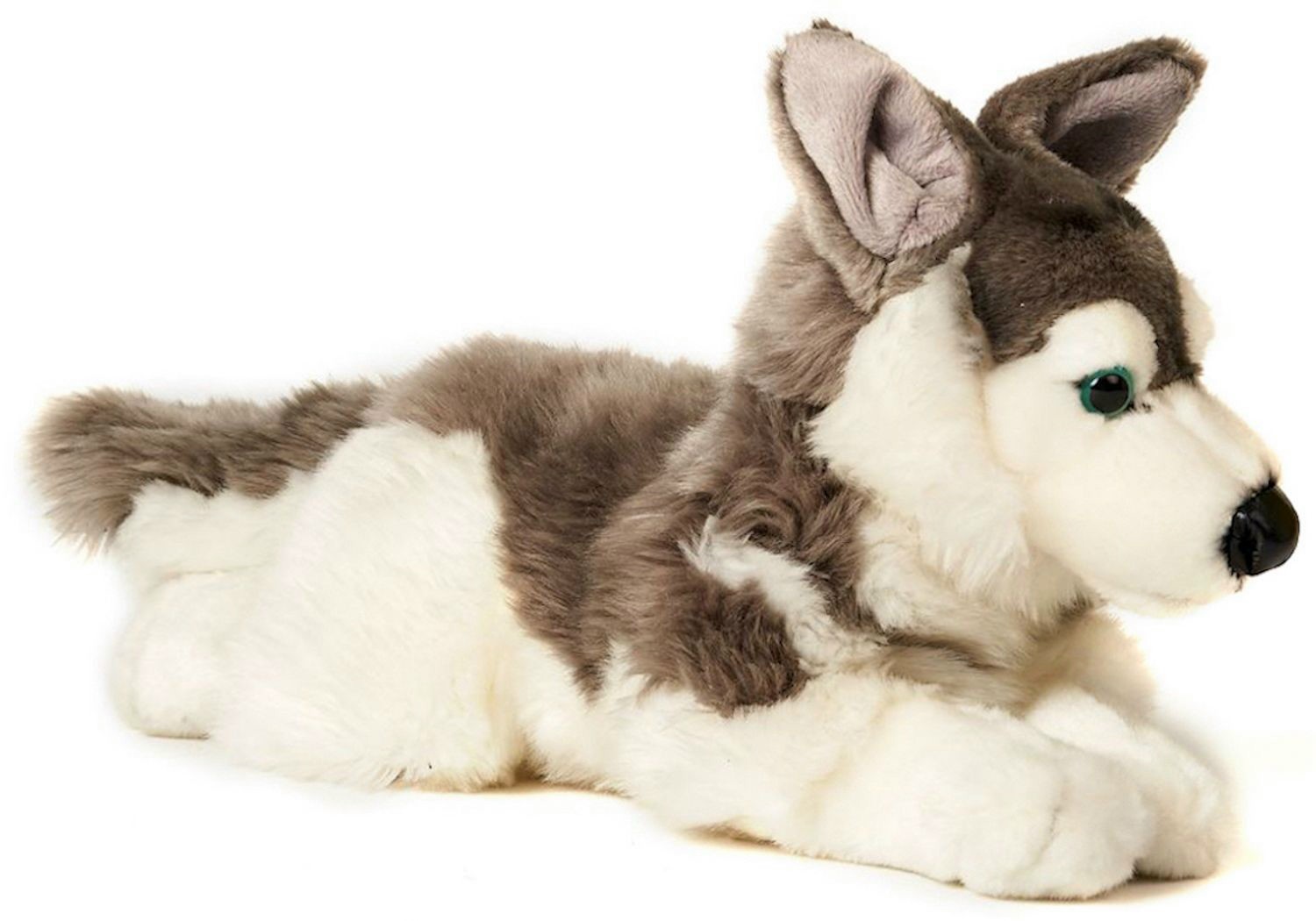 Piesek Husky Leżący - 35cm