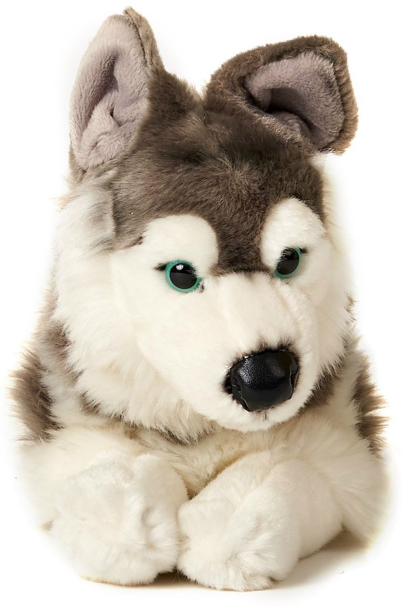 Piesek Husky Leżący - 35cm
