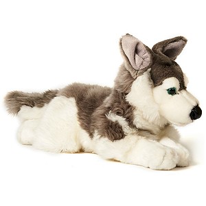 Pies Husky Lecy - 43cm