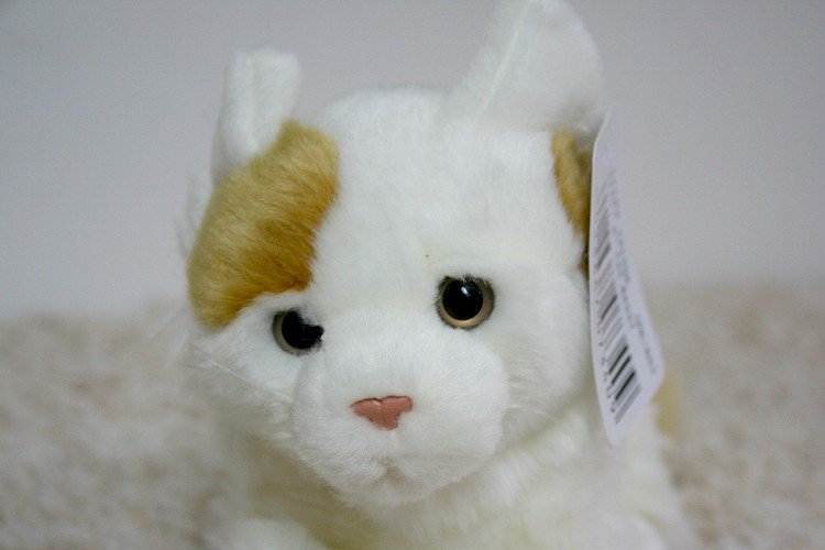 Kotek As Biały Łaciaty Zoo - 28cm