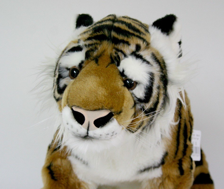 Brązowy Tygrys - 66cm