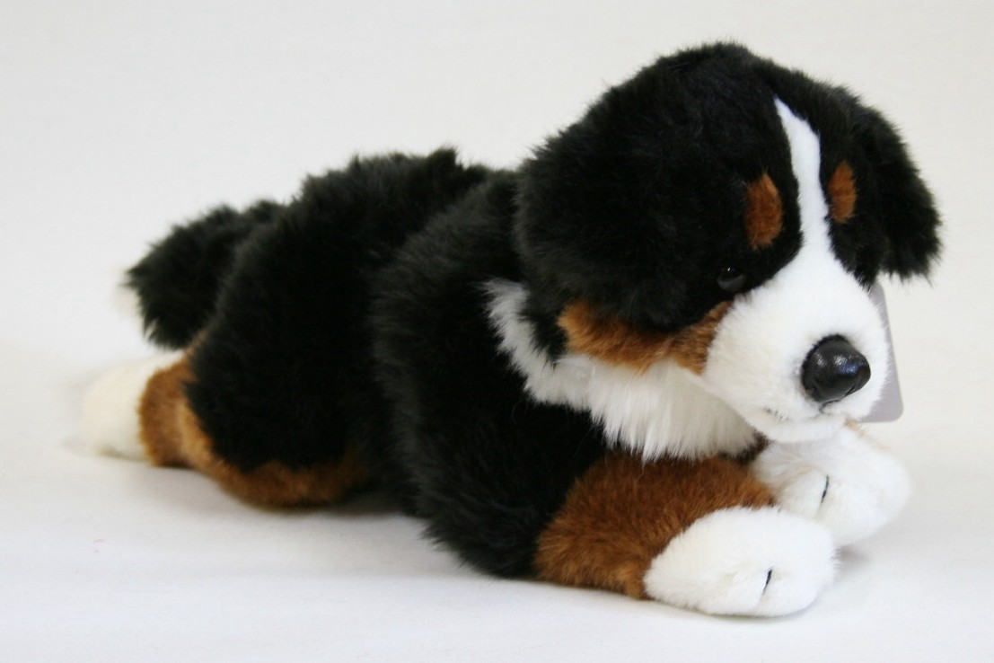 Piesek Czarny Bernardyn - 30cm