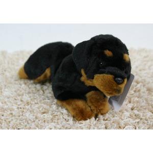Pies Rottweiler Leżący - 35cm