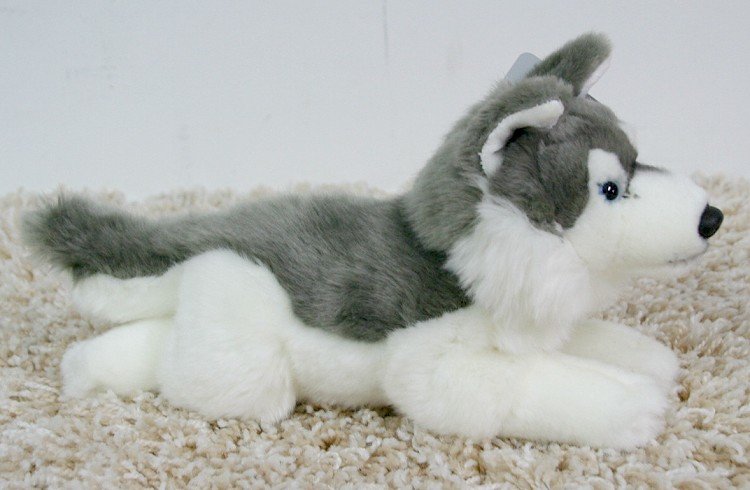 Pies Husky Leżący - 32cm