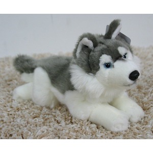 Pies Husky Lecy - 35cm