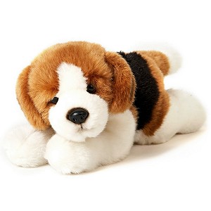 Piesek Beagle Lecy - 25cm