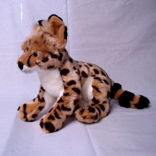 Ryś Cervan Młody - 30cm