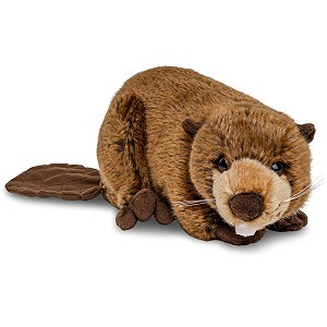 Bóbr - 40/25cm Bóbr - 40/25cm