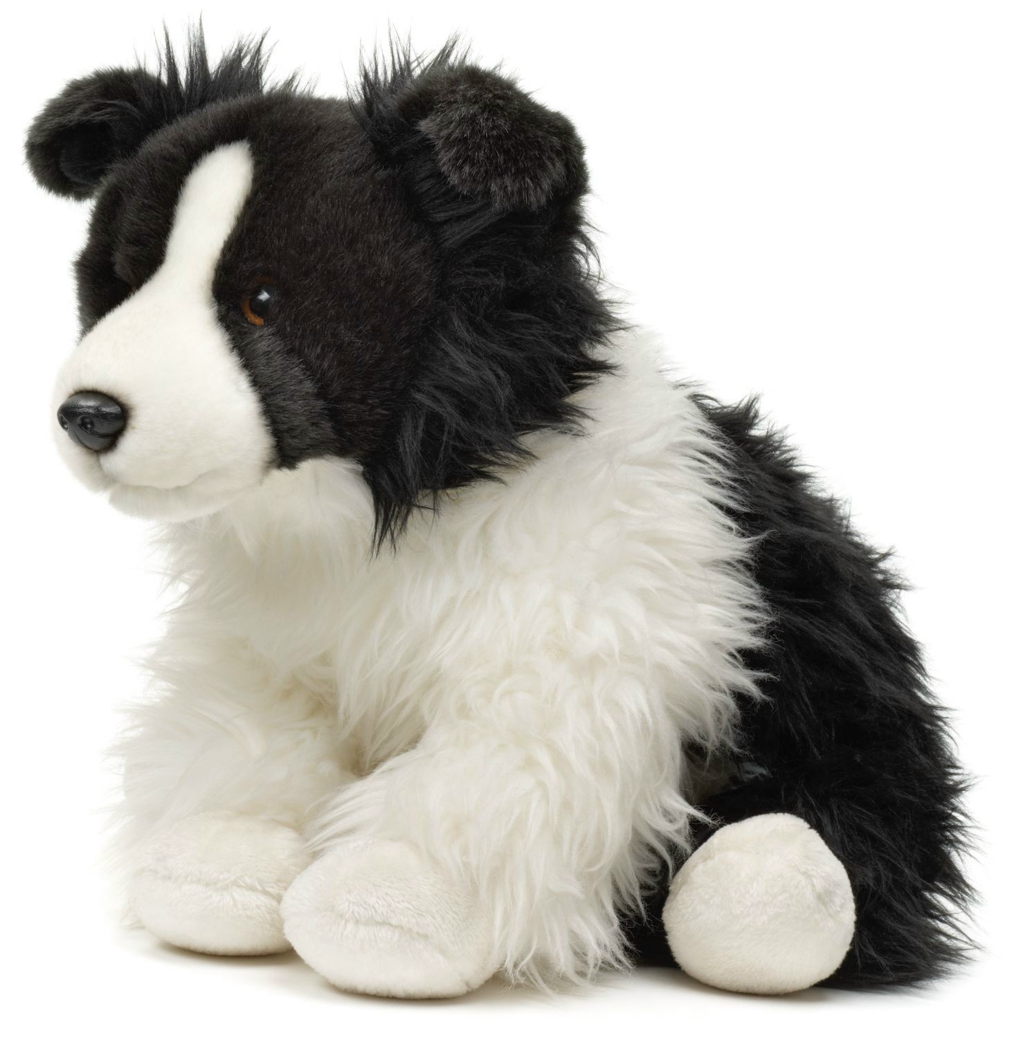 Piesek Border Collie - 31cm