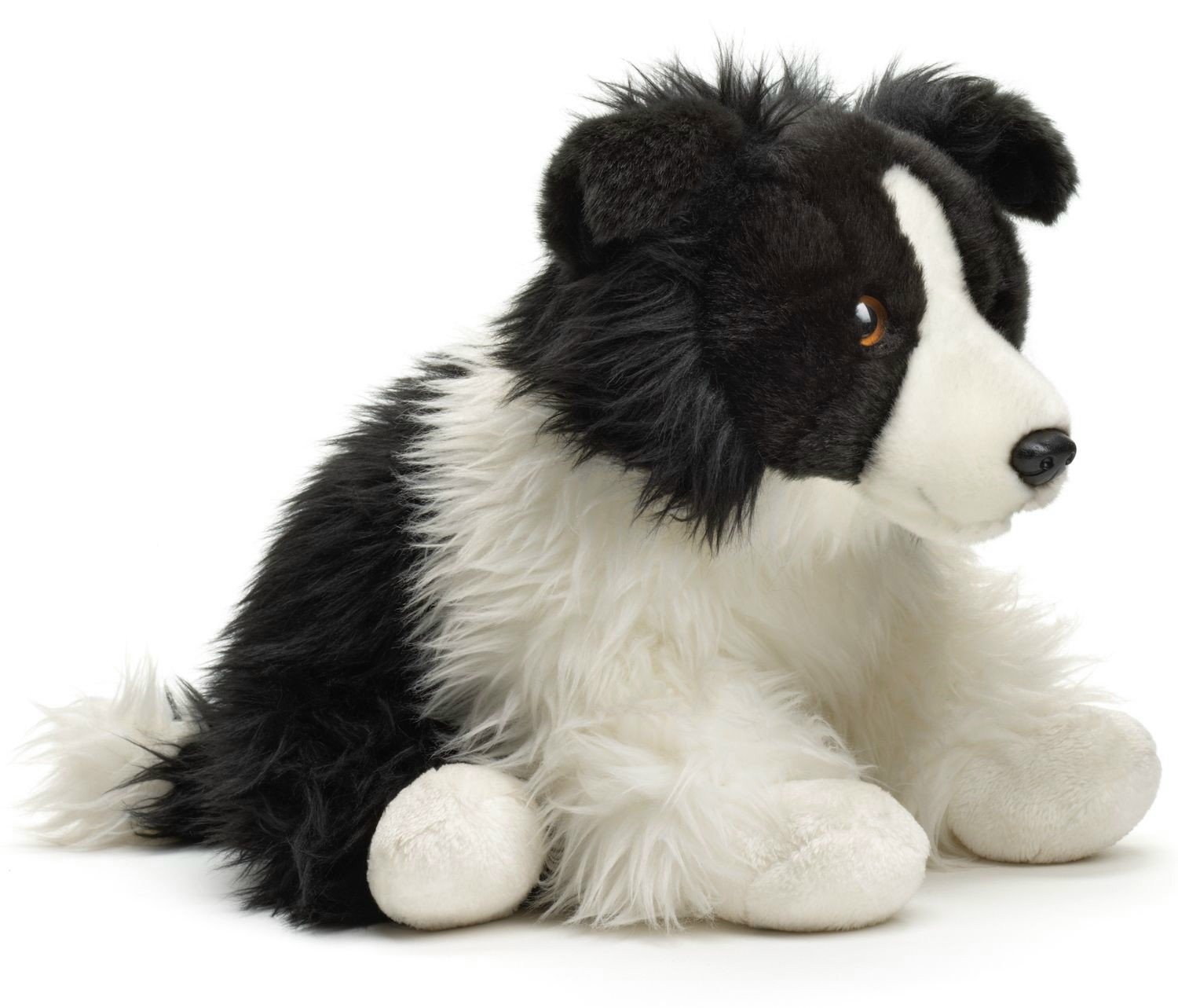 Piesek Border Collie - 31cm