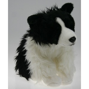 Pies Border Collie - 31cm