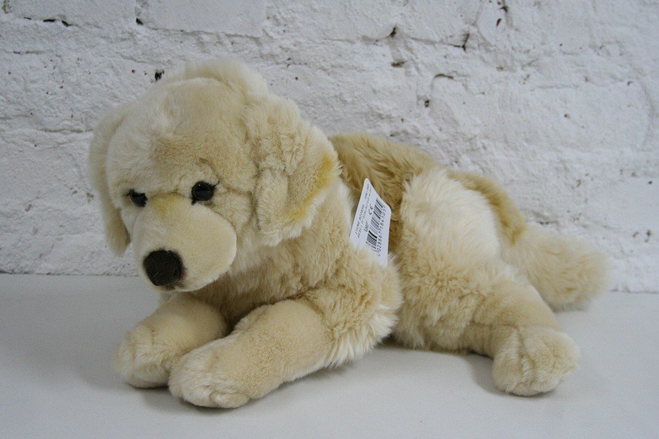 Labrador Pies Leżący - 61cm