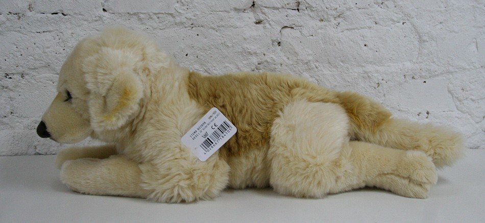 Labrador Pies Leżący - 61cm