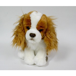 Pies Spaniel Brzowy - 26cm