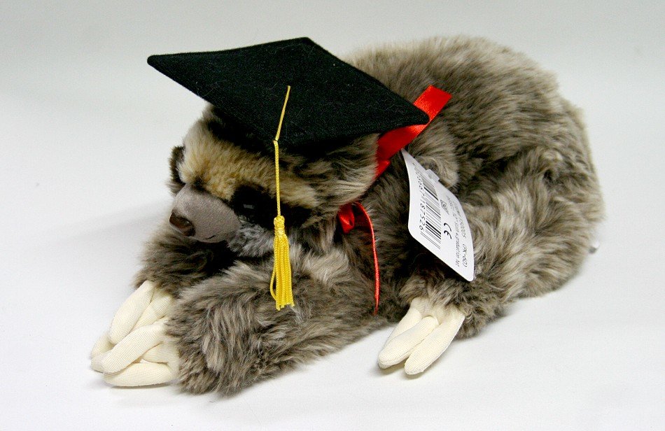 Małpka Leniwiec Absolwent Zoo - 33cm