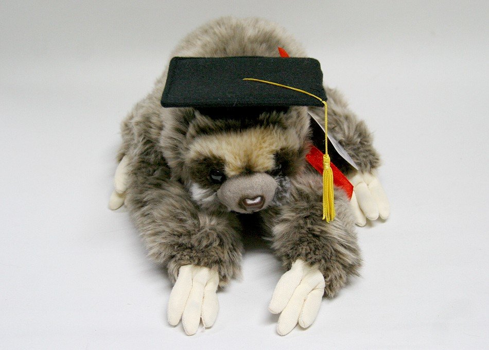 Małpka Leniwiec Absolwent Zoo - 33cm