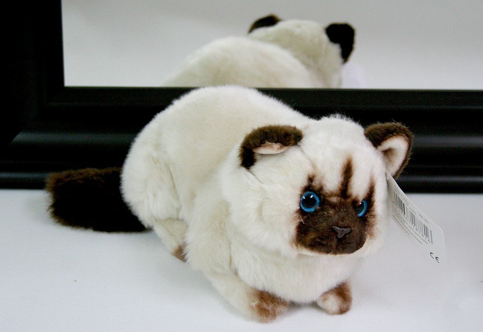 Kot Puchaty Brązowy - 35cm