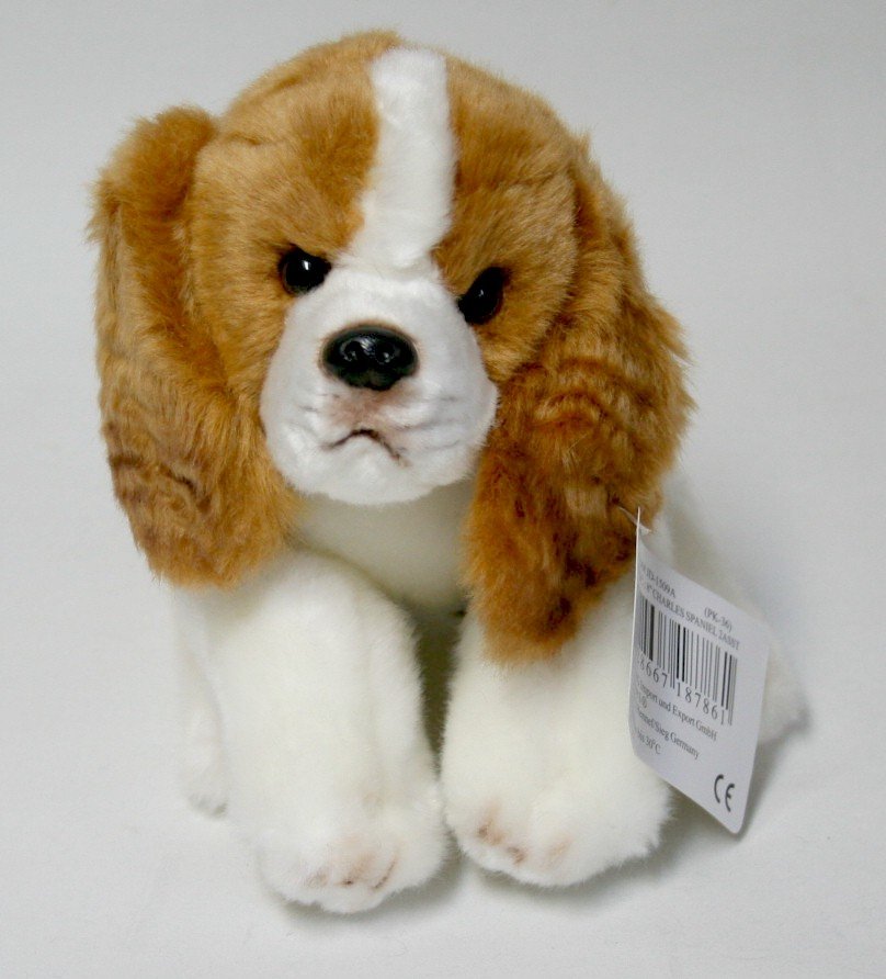 Pies Spaniel Brązowy - 21/29cm