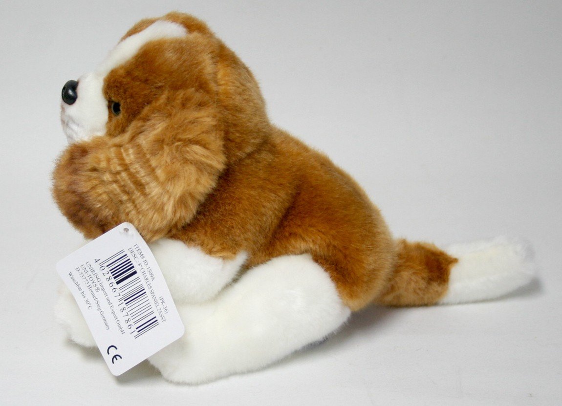 Pies Spaniel Brązowy - 21/29cm