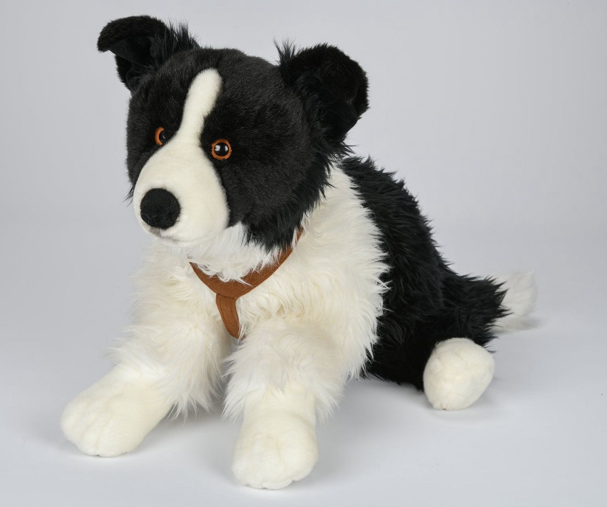 Pies Border Collie ze smyczą - 62cm