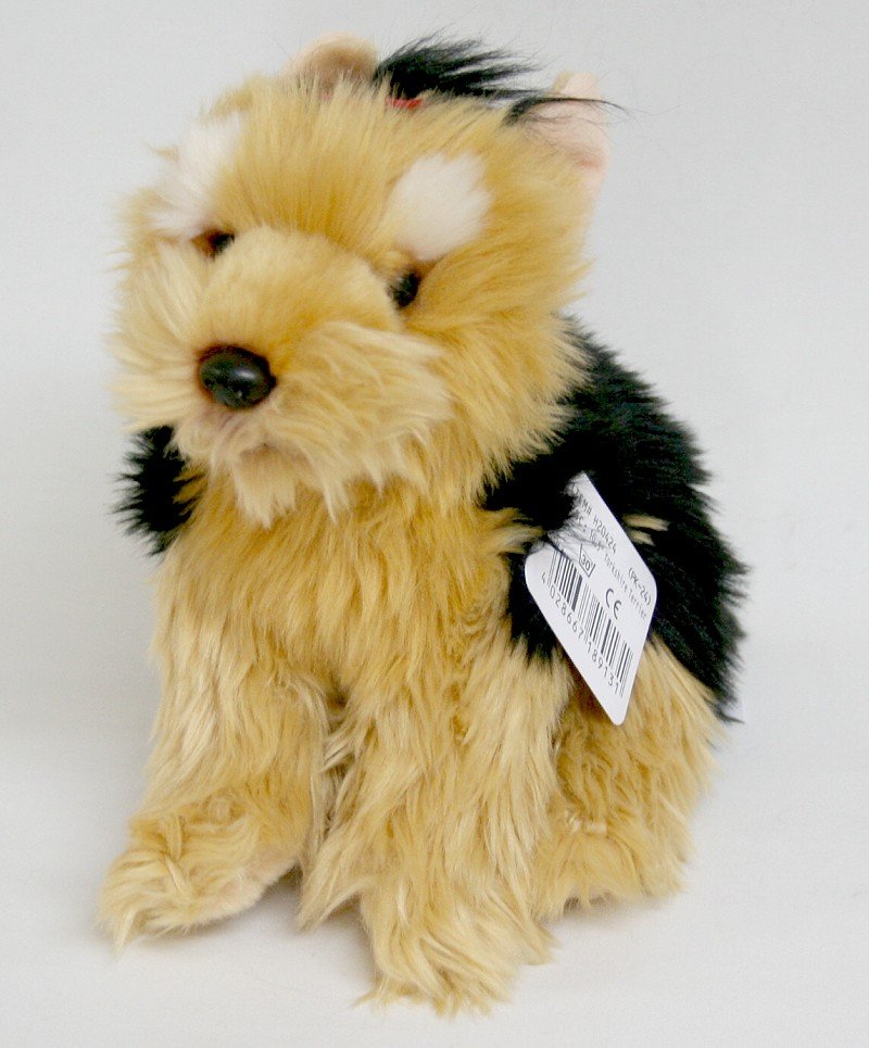 Pies Yorkshire Terrier - 26cm