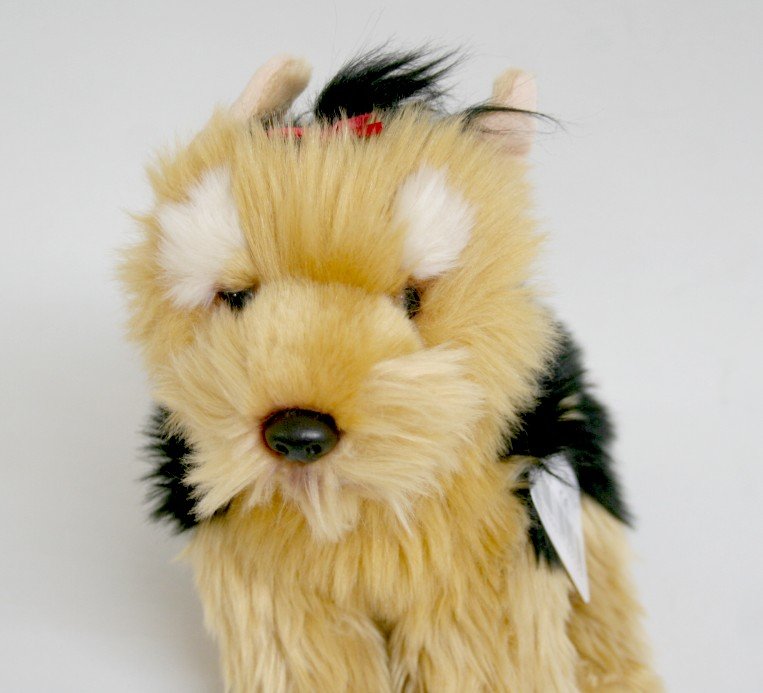 Pies Yorkshire Terrier - 26cm
