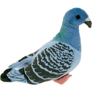 Gołąbek Gołąb Pluszowy - 22cm