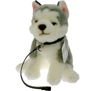 Pies Husky na smyczy - 25cm