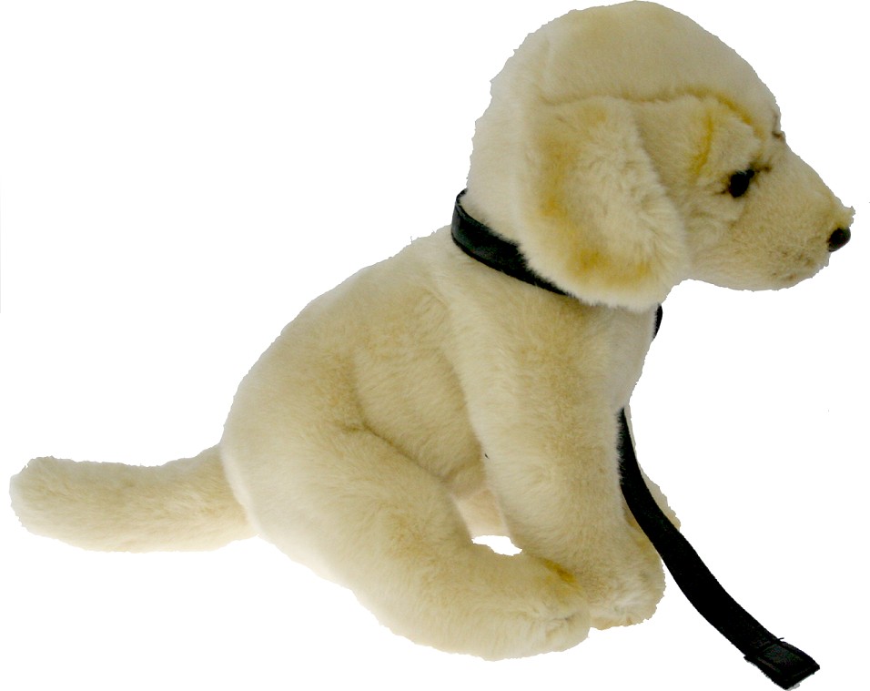 Pies Labrador na smyczy - 25cm
