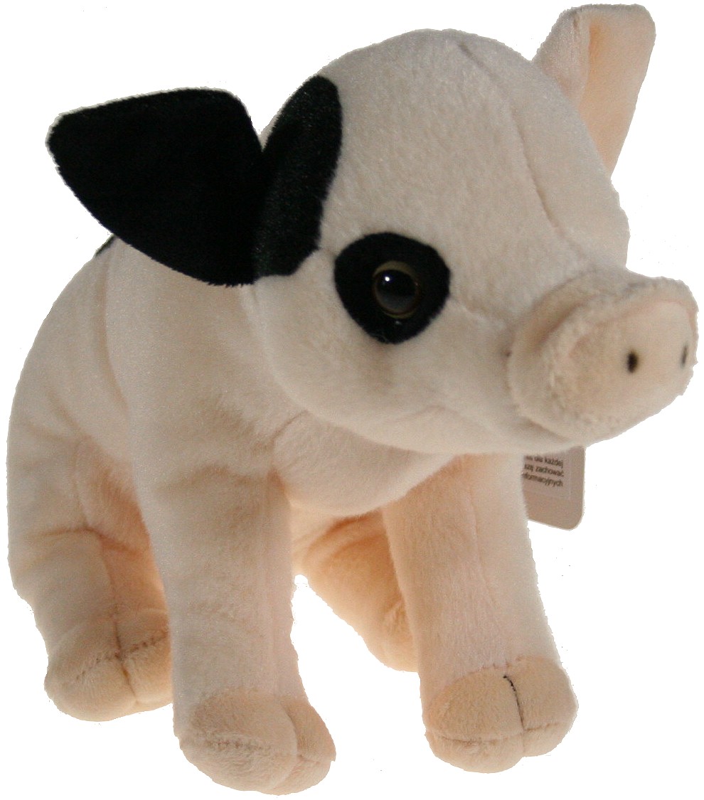 Świnka z łaciatym uchem - 22cm