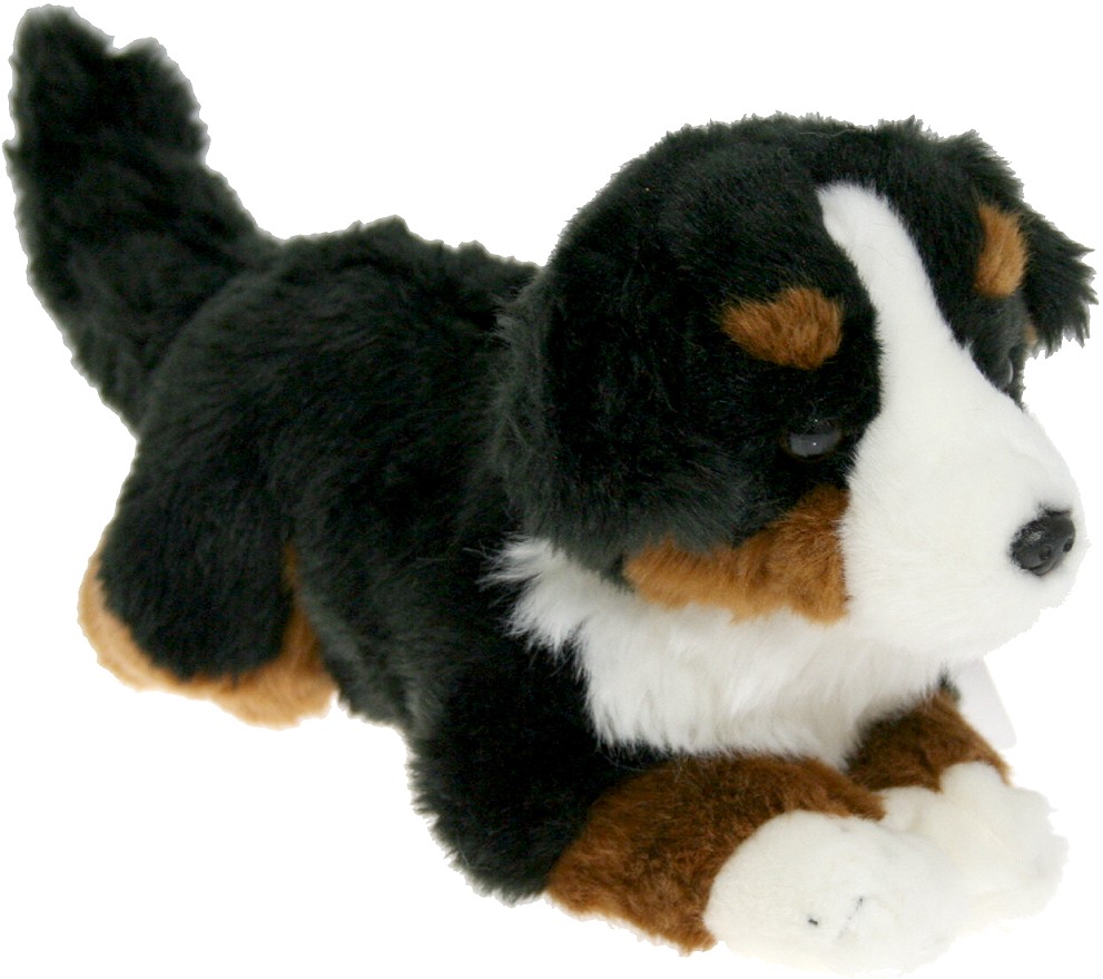 Pies berneński czarny bernardyn - 25cm