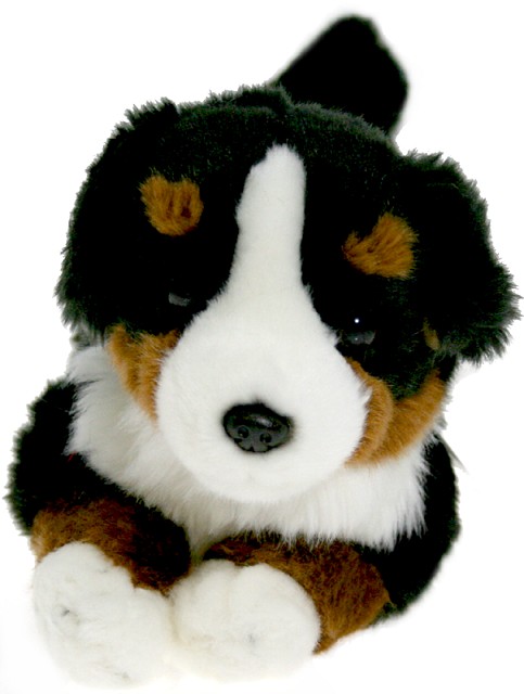 Pies berneński czarny bernardyn - 25cm