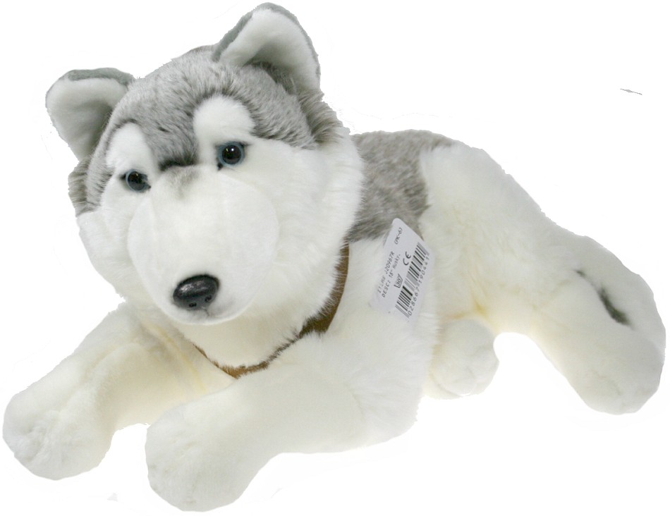 Pies husky leżący - 50cm