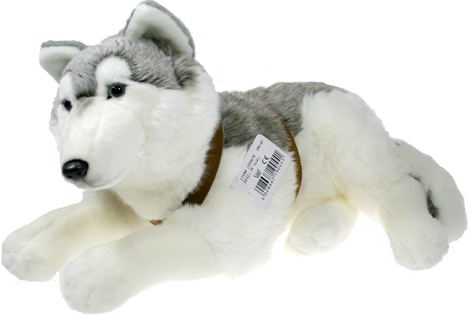 Pies husky leżący - 50cm