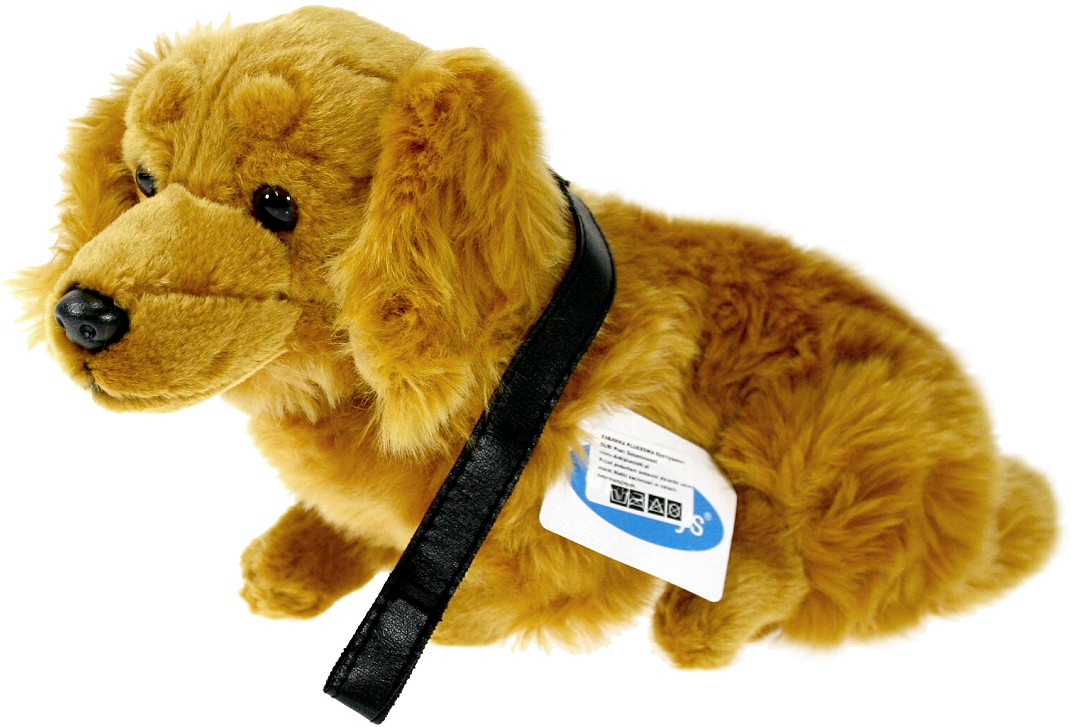 Pies Jamnik brązowy ze smyczą - 29cm