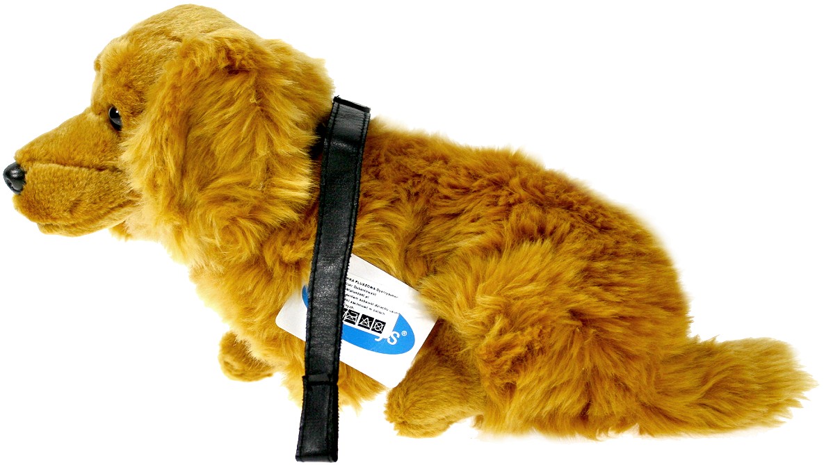 Pies Jamnik brązowy ze smyczą - 29cm