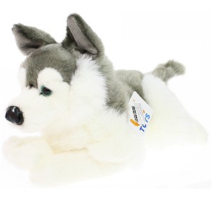 Piesek Husky lecy - 38cm