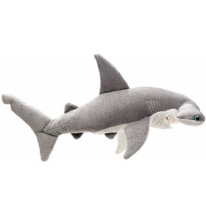 Rekin młot - 50cm