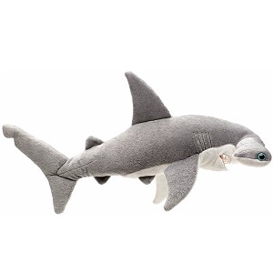 Rekin młot - 50cm Rekin młot - 50cm