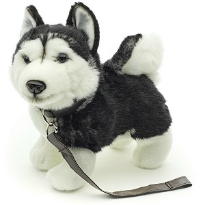 Piesek Husky Czarny na smyczy - 25cm