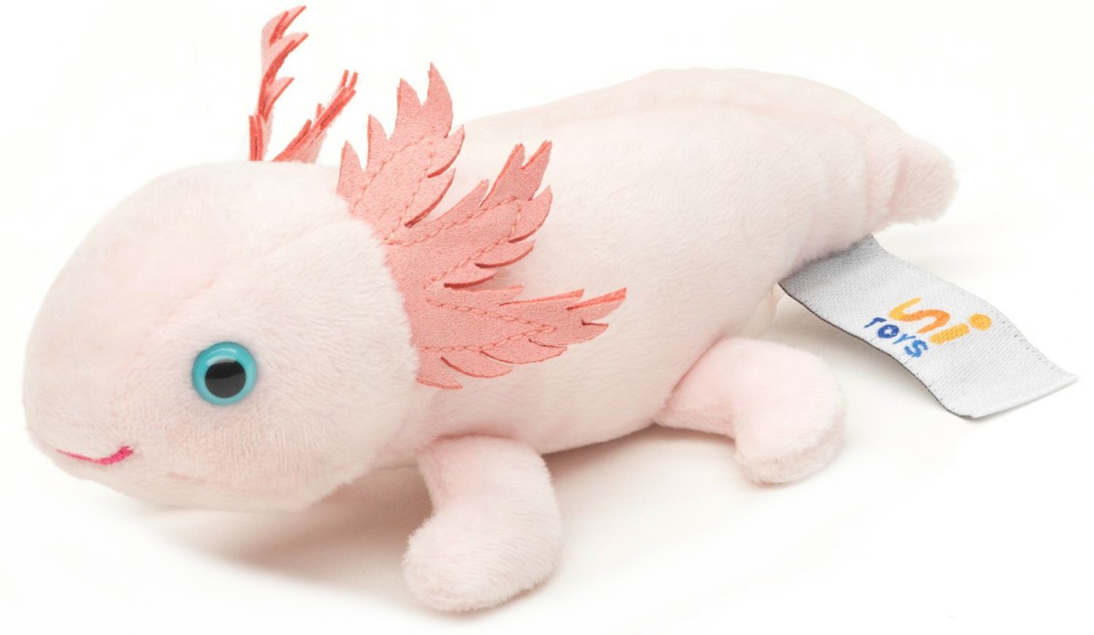 Aksolotl Ambystoma Meksykańska z magnesem - 15cm