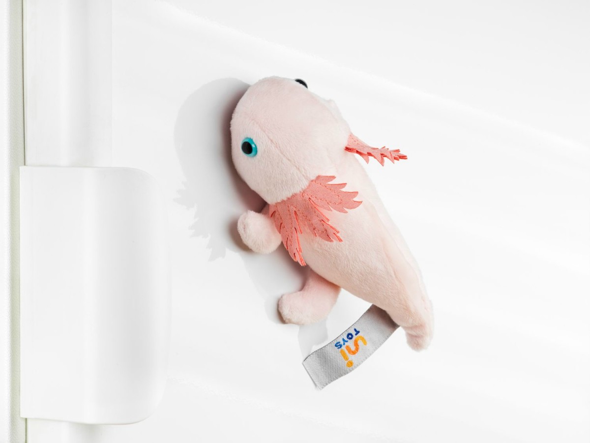 Aksolotl Ambystoma Meksykańska z magnesem - 15cm