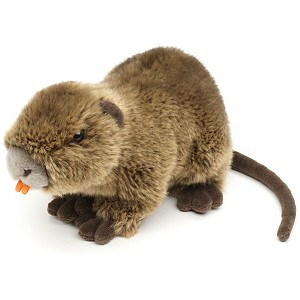 Nutria - 27cm Nutria - 27cm