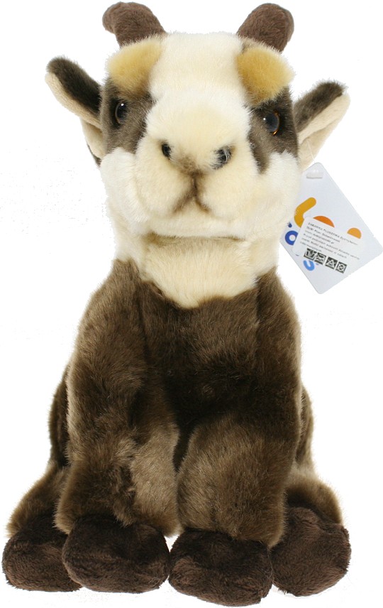 Kozica Koza Koziorożec - 25cm