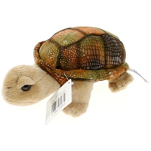 Żółw brązowy - 18cm